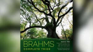 Il doppio CD del Gustav Trio dedicato a Brahms